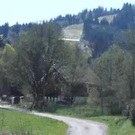 Шале Le Bois Joli 4 Etoiles Cledicihome Cadre Paisible En Lisiere De Foret