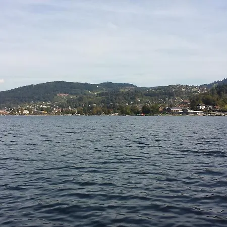 Alpehytte Le Bois Joli 4 Etoiles Cledicihome Cadre Paisible En Lisiere De Foret *