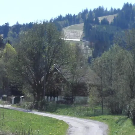 Шале Le Bois Joli 4 Etoiles Cledicihome Cadre Paisible En Lisiere De Foret