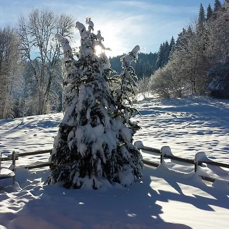Alpehytte Le Bois Joli 4 Etoiles Cledicihome Cadre Paisible En Lisiere De Foret *