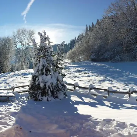 Le Bois Joli 4 Etoiles Cledicihome Cadre Paisible En Lisiere De Foret Alpehytte Gérardmer