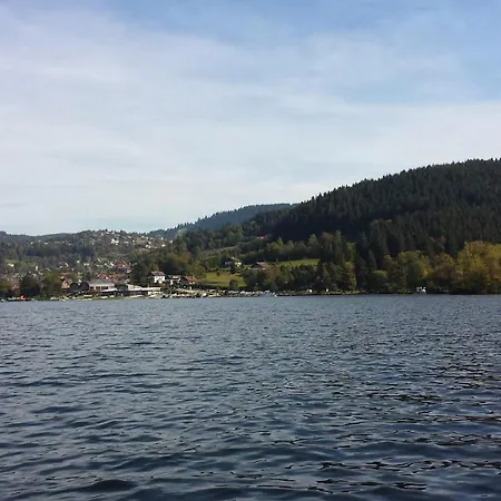Domek alpejski Le Bois Joli 4 Etoiles Cledicihome Cadre Paisible En Lisiere De Foret