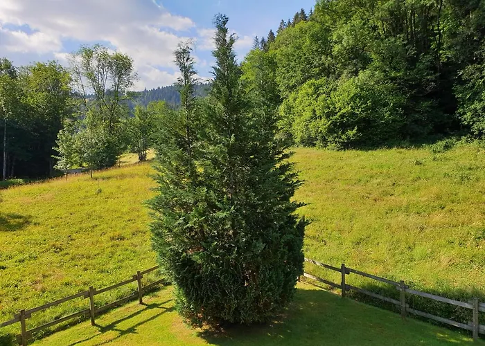 Le Bois Joli 4 Etoiles Cledicihome Cadre Paisible En Lisiere De Foret *