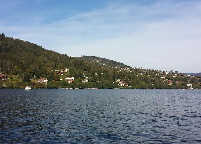 Le Bois Joli 4 Etoiles Cledicihome Cadre Paisible En Lisiere De Foret בקתה *