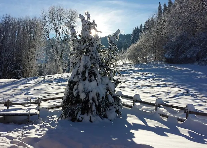 Horská chata Le Bois Joli 4 Etoiles Cledicihome Cadre Paisible En Lisiere De Foret *