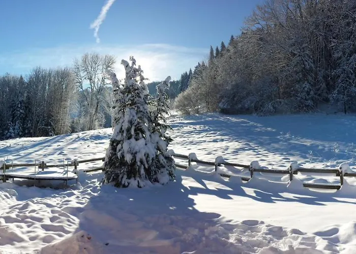 Le Bois Joli 4 Etoiles Cledicihome Cadre Paisible En Lisiere De Foret Horská chata Gérardmer